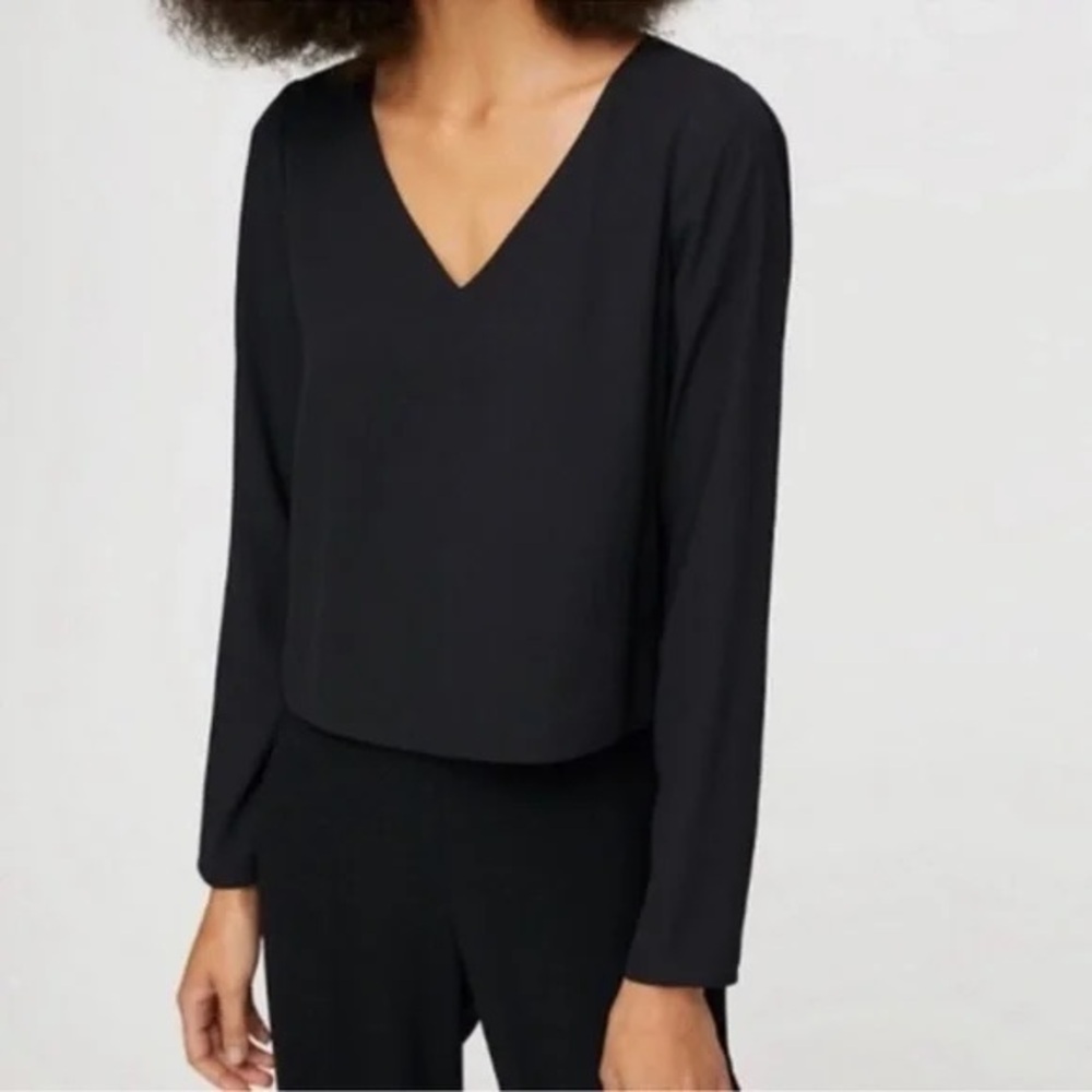 Babaton Aritzia V-Neck Blouse